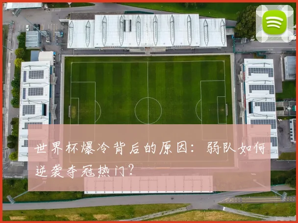 世界杯爆冷背后的原因：弱队如何逆袭夺冠热门？